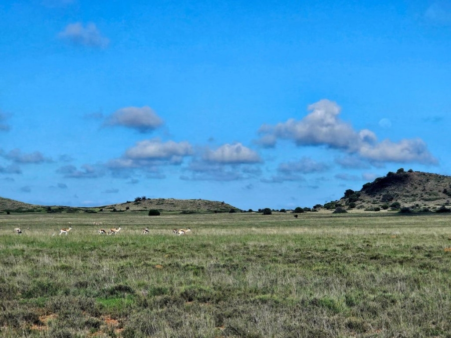 4 Bedroom Property for Sale in Bloemfontein Rural Free State